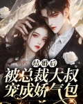 结婚后，被总裁大叔宠成娇气包