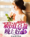 代嫁萌妻:霸道总裁晚上好