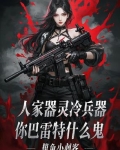 巴雷特是什么枪