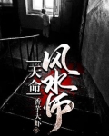 天命风水师