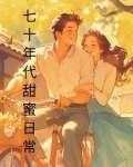 七十年代甜蜜日常小说