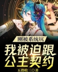 刚被系统坑，我被迫跟公主契约