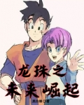 龙珠之未来崛起