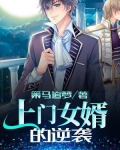 上门女婿的逆袭