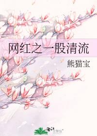 网红之一股清流
