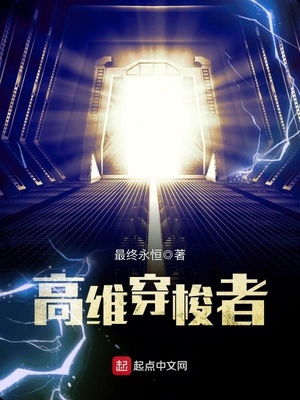 高维穿梭者TXT