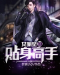 女明星的贴身高手