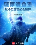 玩家请自重这个位面真的会破碎免费阅读