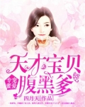 专宠蜜爱:天才宝贝腹黑爹