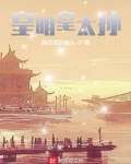 皇明皇太孙