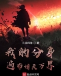 我的分身遍布诸天万界!