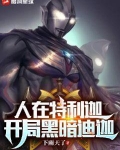 人在特利迦:开局黑暗迪迦