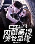 相亲走错桌，闪婚高冷美女总裁