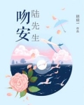 吻安，陆先生