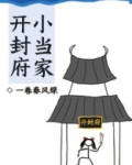 开封府小当家